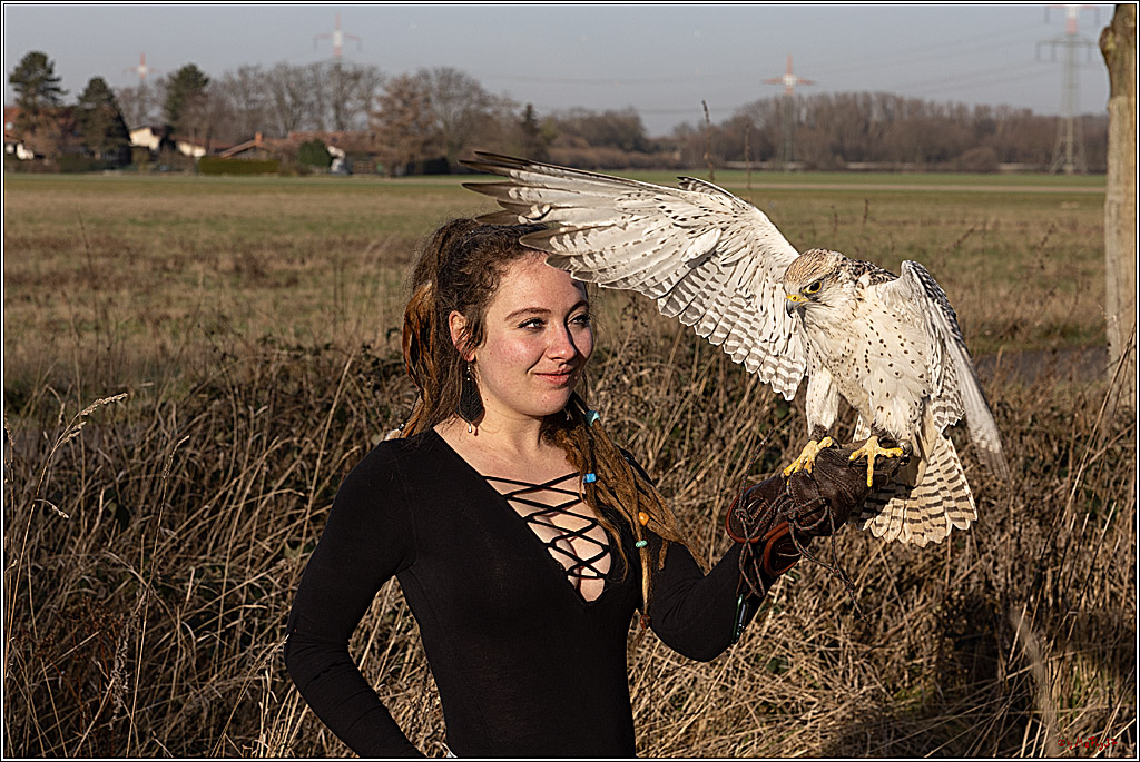 Cheyenne-Halbblut Hunting Wolf in der Falknerei Pierre Schmidt; Gymnich, 09.02.2023
